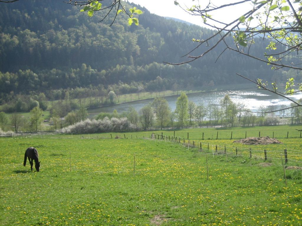 Ferienwohnung Inge Steinruecken Winterberg Bilik gambar
