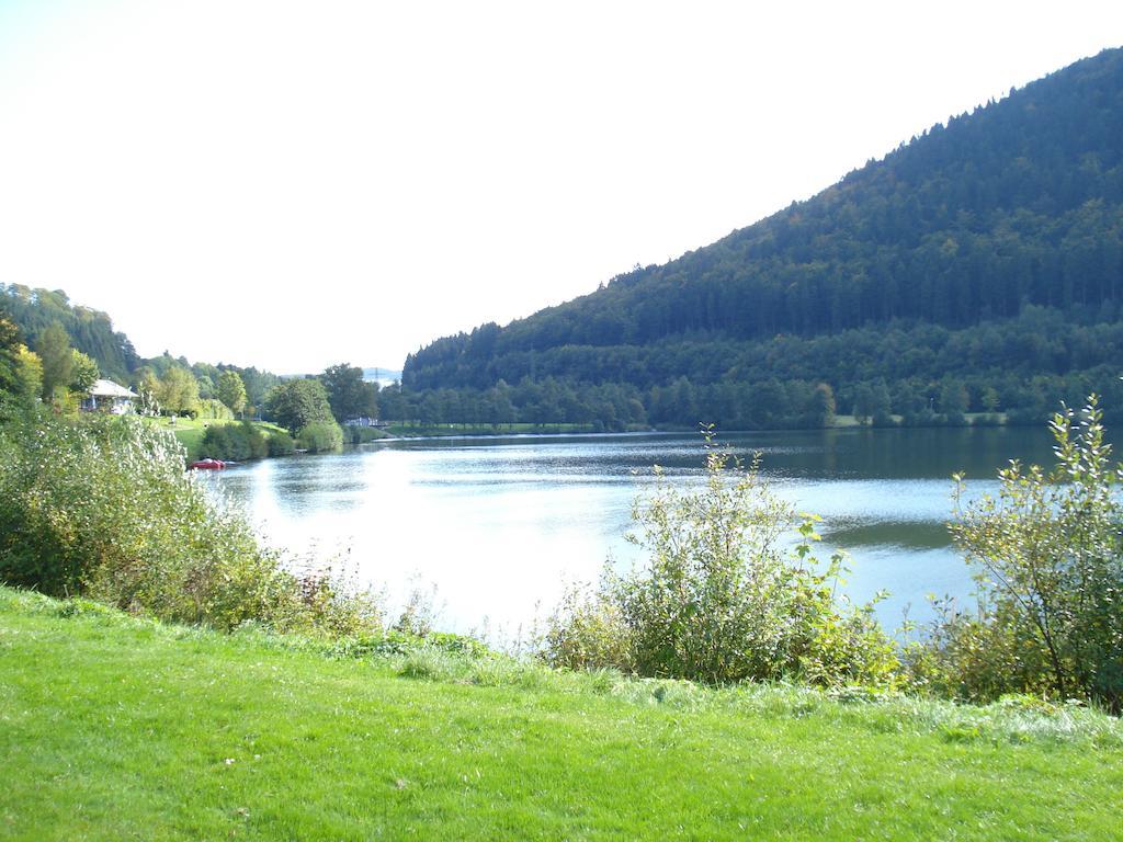 Ferienwohnung Inge Steinruecken Winterberg Bilik gambar