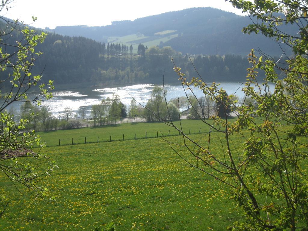 Ferienwohnung Inge Steinruecken Winterberg Luaran gambar
